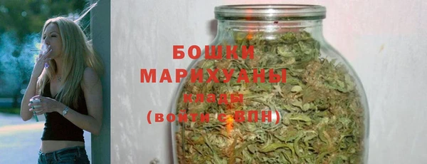 шишки Галич