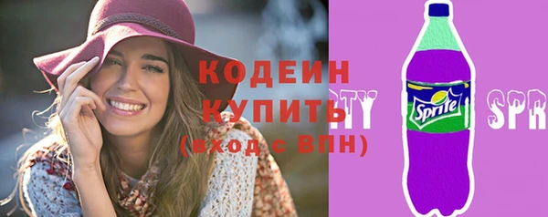 шишки Галич