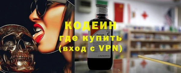 шишки Галич
