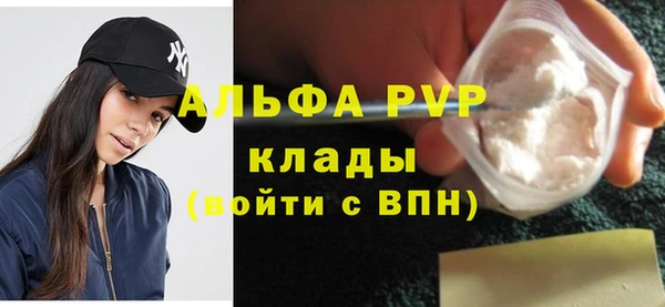 сатива Губаха