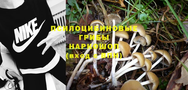 МДМА Гвардейск
