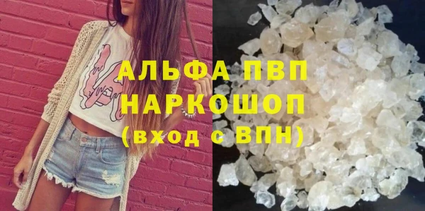 шишки Галич
