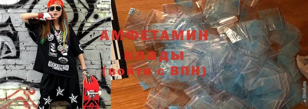 шишки Галич