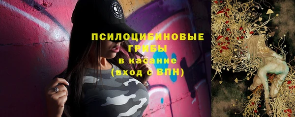 шишки Галич