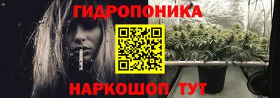 спиды Гусев