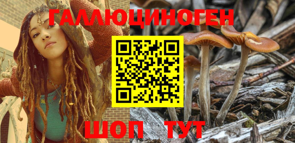 Галлюциногенные грибы мицелий  Псилоцибиновые грибы мухоморы  Котельники 