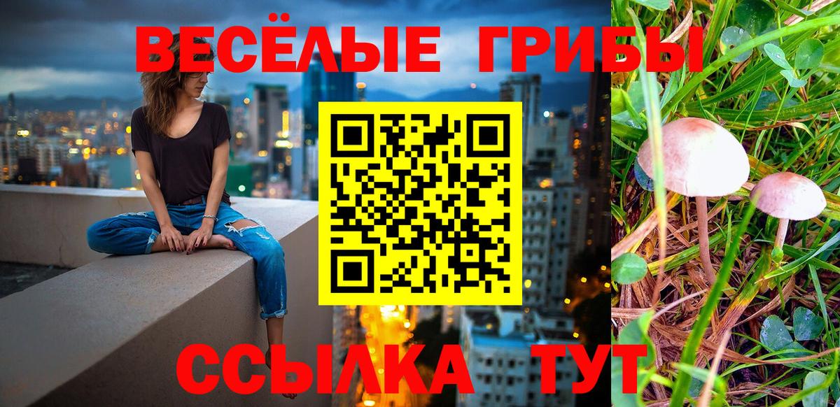 Котельники  Галлюциногенные грибы GOLDEN TEACHER  Вход с VPN  Галлюциногенные грибы GOLDEN TEACHER 