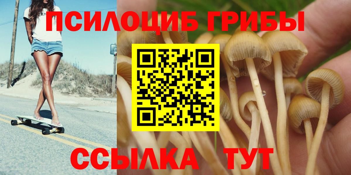 Галлюциногенные грибы MAGIC MUSHROOMS Котельники